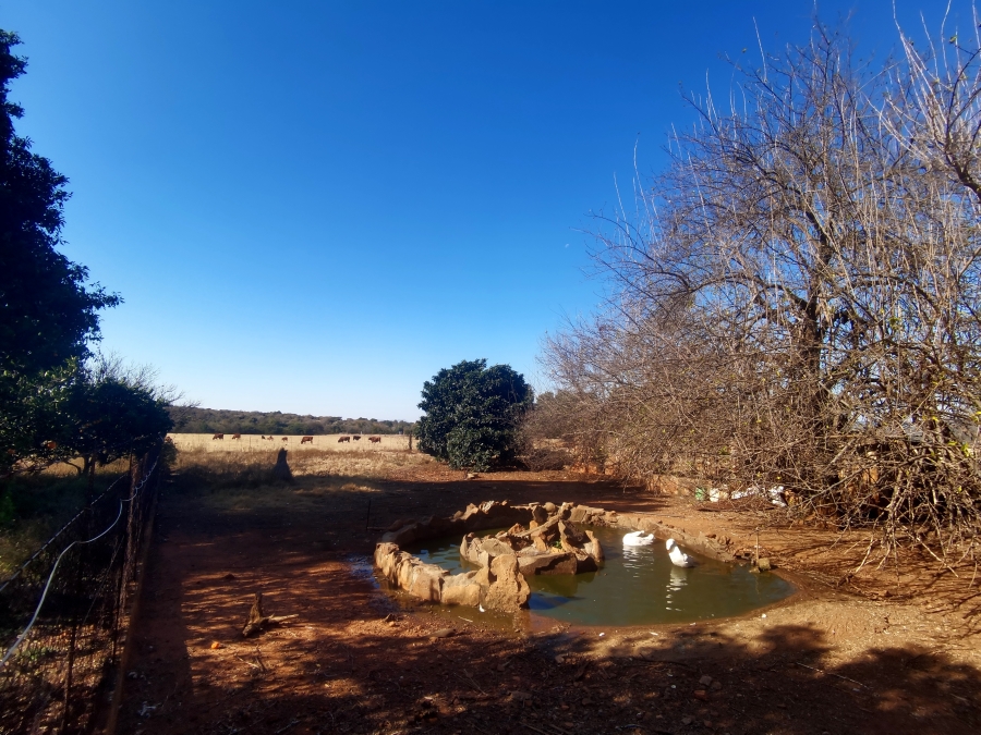 Commercial Property for Sale in Koster North West